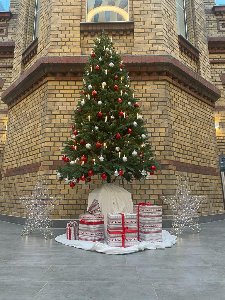 Ein Weihnachtsbaum leuchtet im MVZ „Im Altstadtquartier“